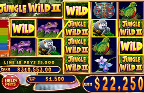 Jungle Wild Free Slot