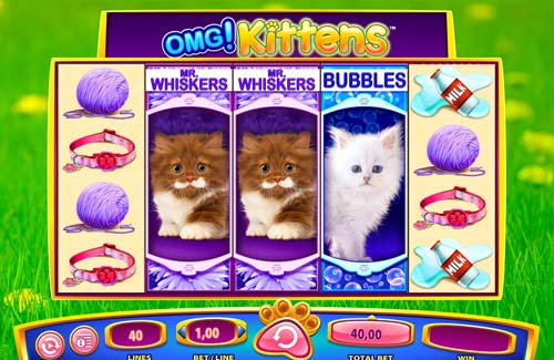 Free omg kittens slots