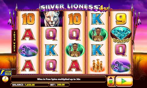 Silver Lioness 4x