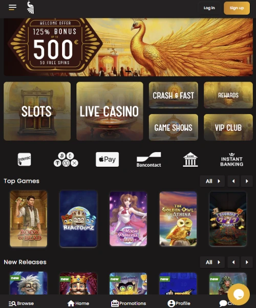 Art Casino Review 2024