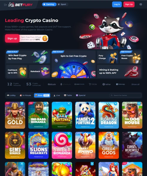 Betfury Casino Review 2024