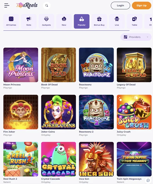 BitReels Casino Review 2023