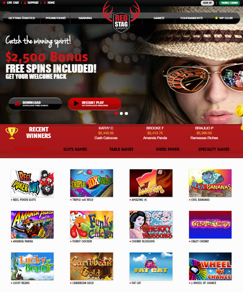 Red Stag Casino Review 2024