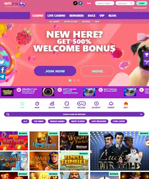 Spinpug Casino Review 2024