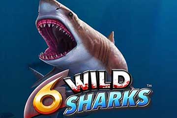 6 Wild Sharks