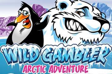 Wild Gambler Arctic Adventure