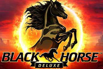 Black Horse Deluxe