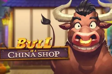 Bull in a China Shop