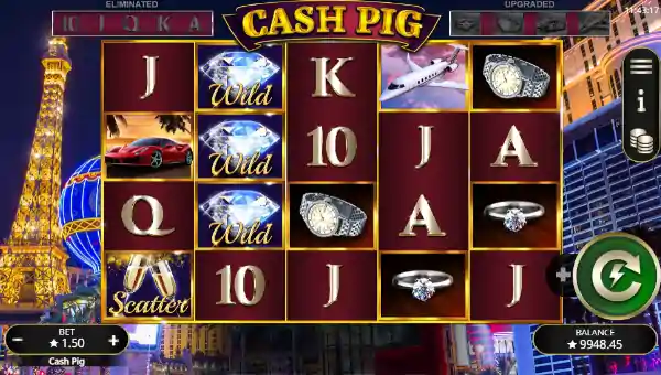 Cash Pig