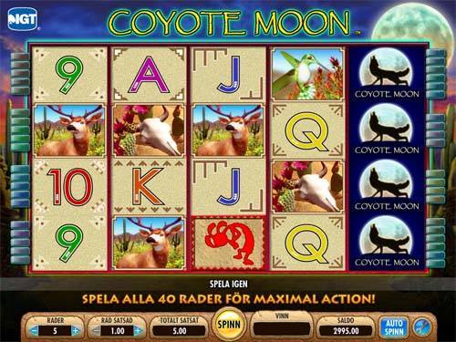 Coyote Moon