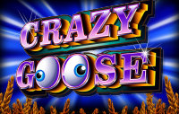 Crazy Goose