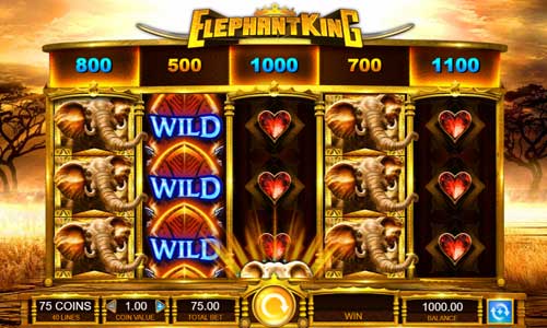 Elephant King
