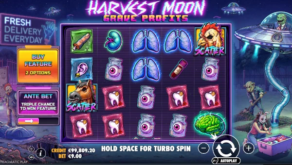Harvest Moon Grave Profits gameplay