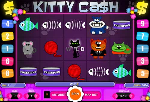 Kitty Cash