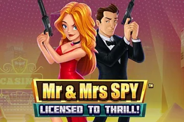 Mr and Mrs Spy