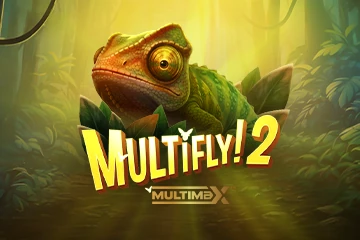 MultiFly 2