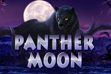 Panther Moon