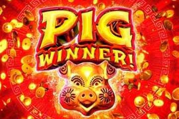 Pig Winner