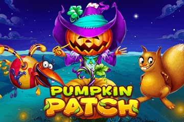 Pumpkin Patch