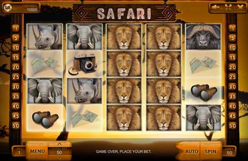 Safari