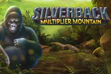 Silverback Multiplier Mountain