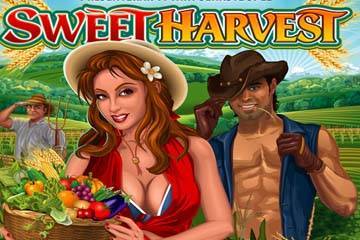 Sweet Harvest