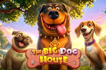 The Big Dog House