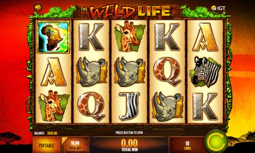 The Wild Life