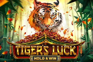Tigers Luck