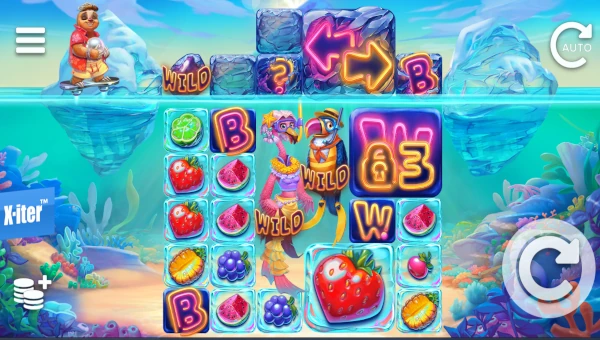 Tropicool 5 gameplay