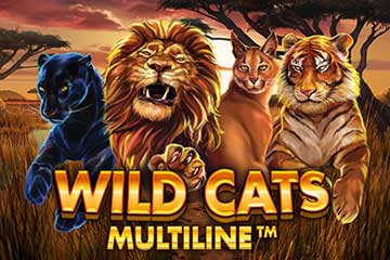 Wild Cats Multiline