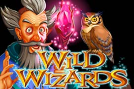 Wild Wizards