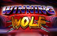 Winning Wolf